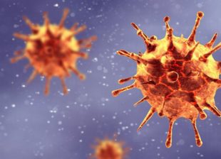 El própolis actúa como bloqueador natural de la quinasia PAK1, causante del coronavirus