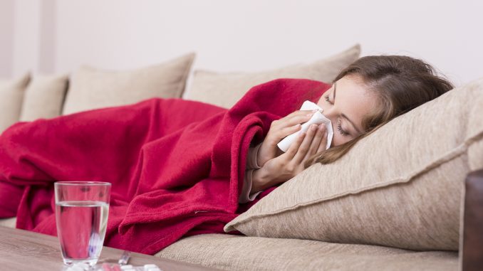 ¿Cómo prevenir el resfriado con propóleo?
